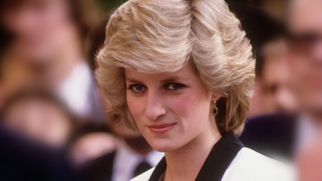 Fund princess diana